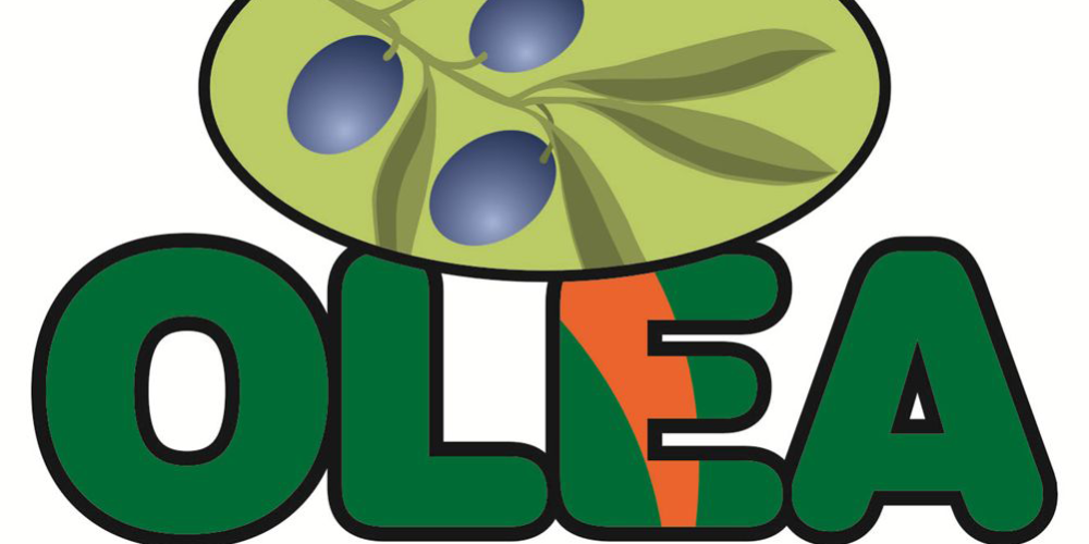 Tekuće zlato Istre u Taru Torač